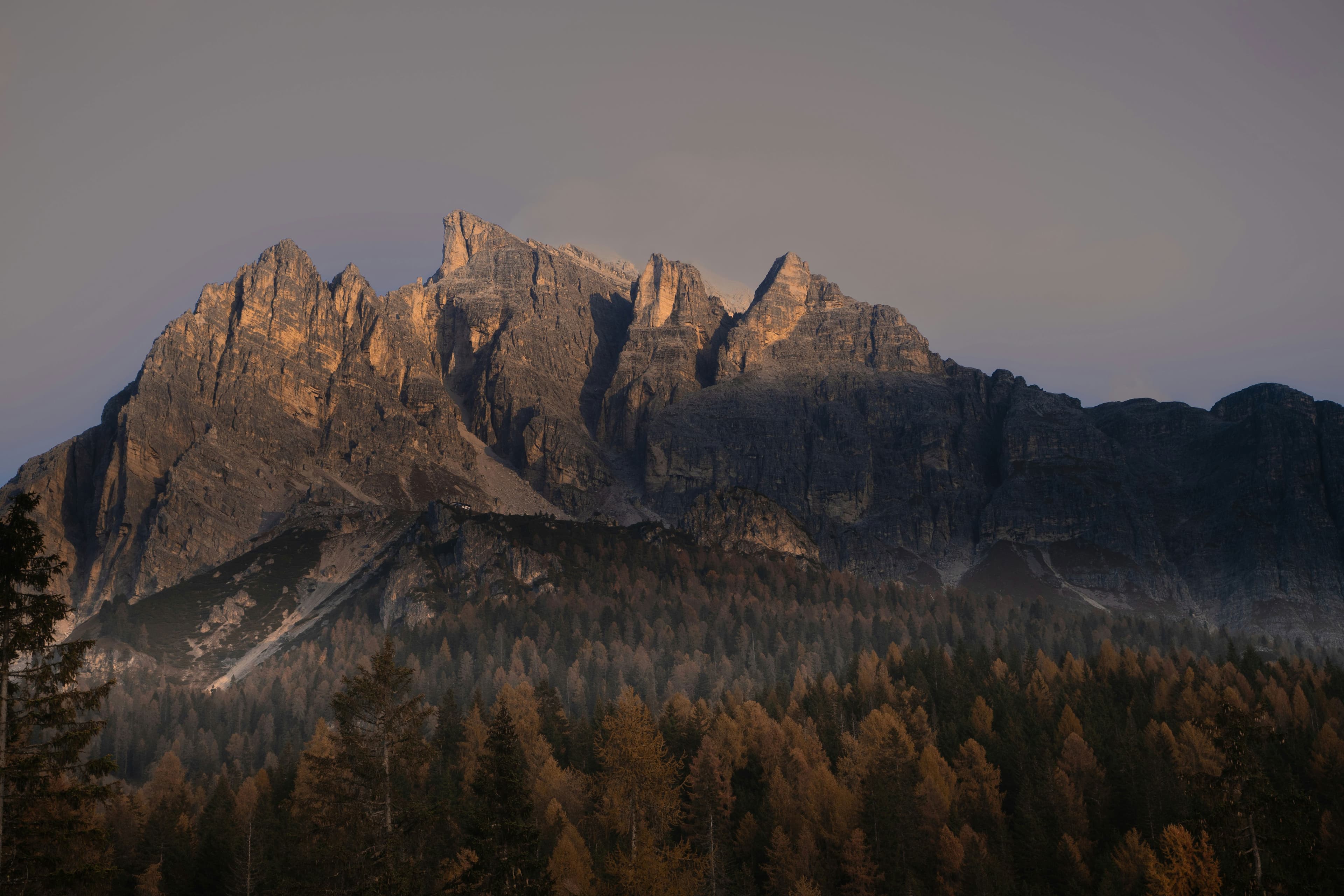 Mountain range situated in the background of a forest.